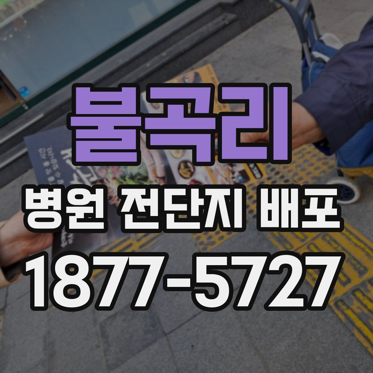 불곡리 병원 전단지 배포