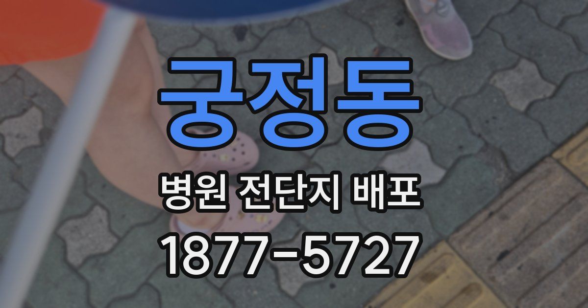 궁정동 병원 전단지 배포