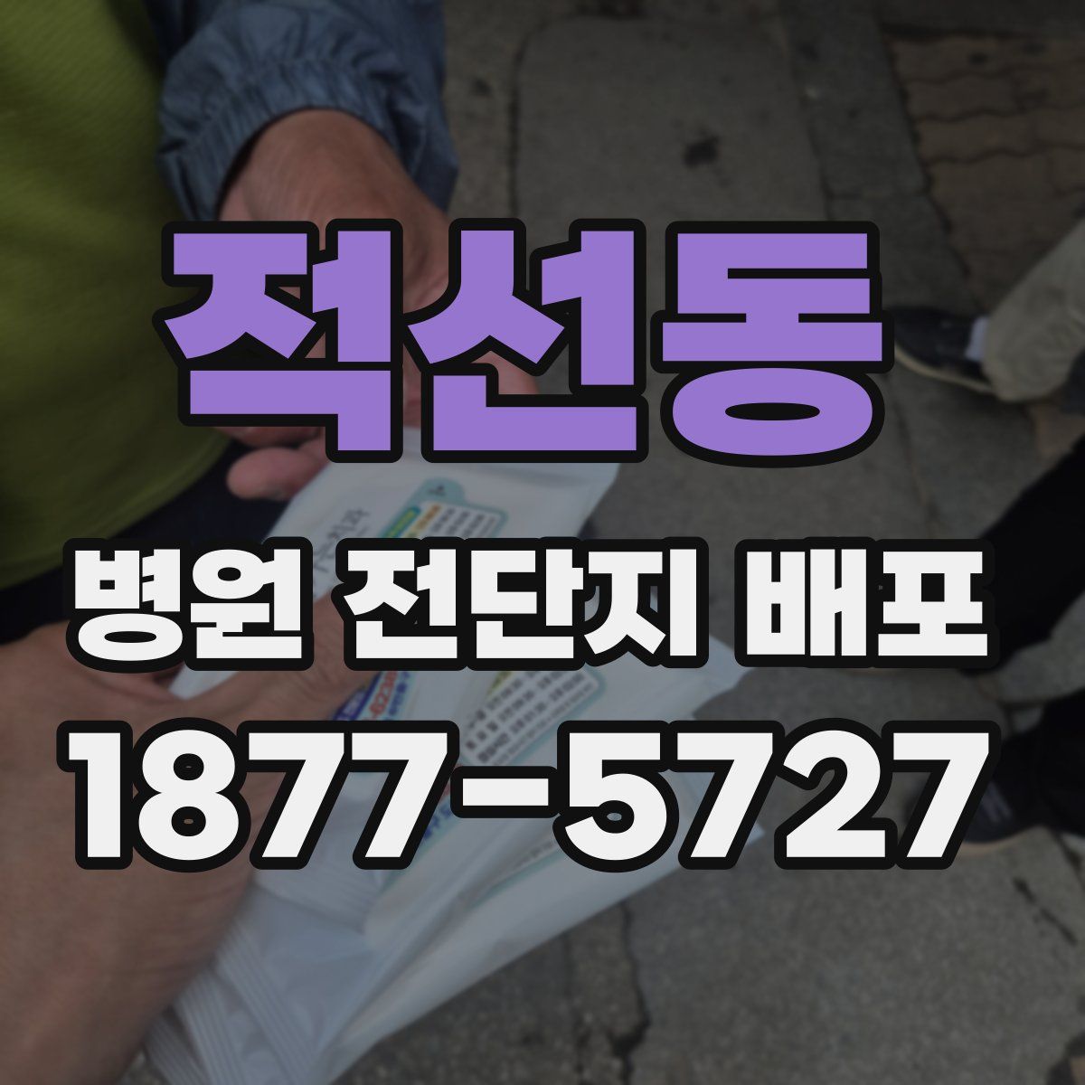적선동 병원 전단지 배포