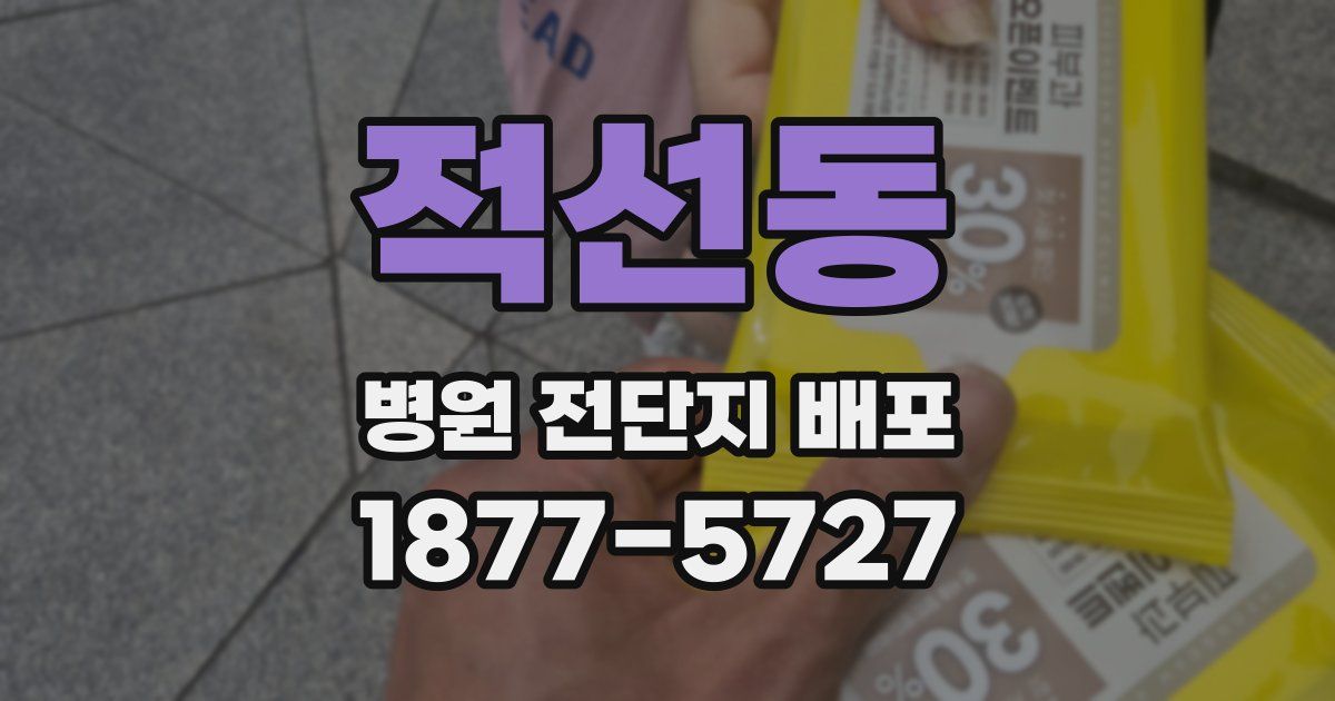 적선동 병원 전단지 배포