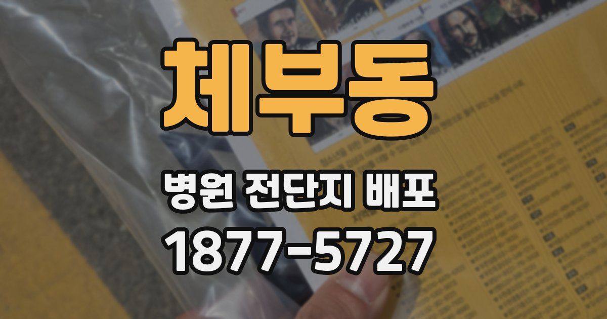 체부동 병원 전단지 배포