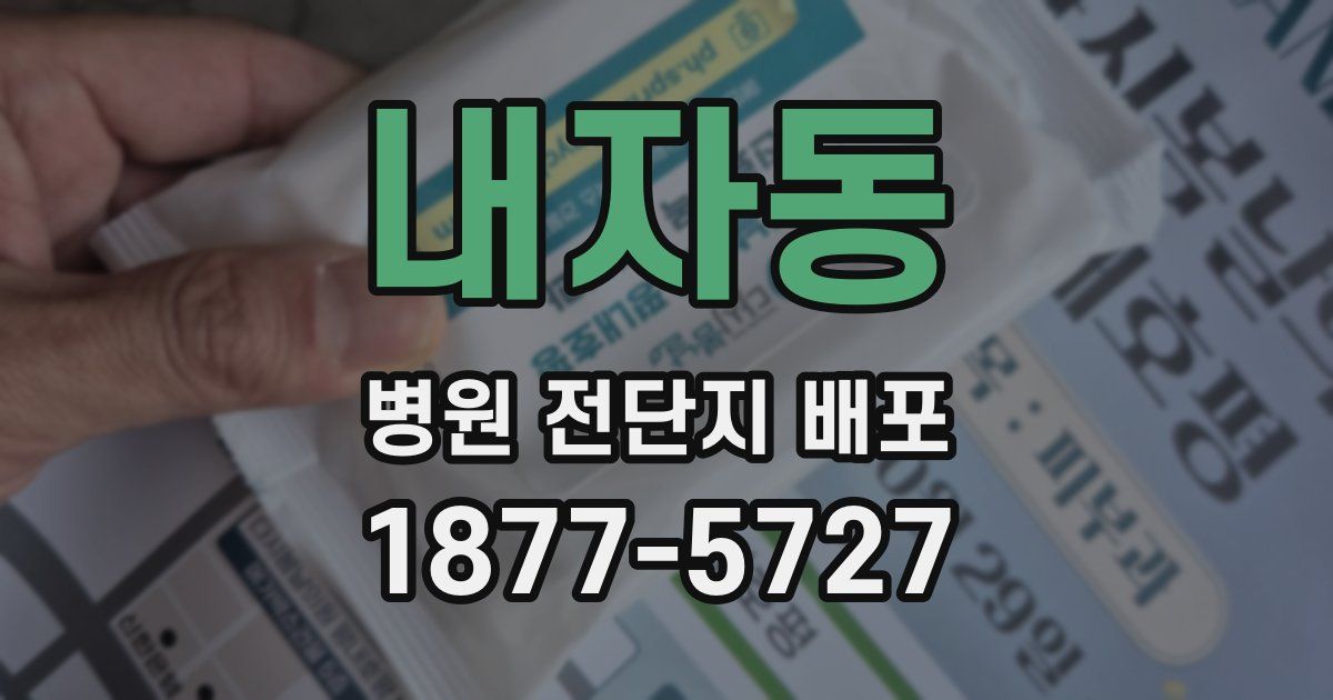 내자동 병원 전단지 배포
