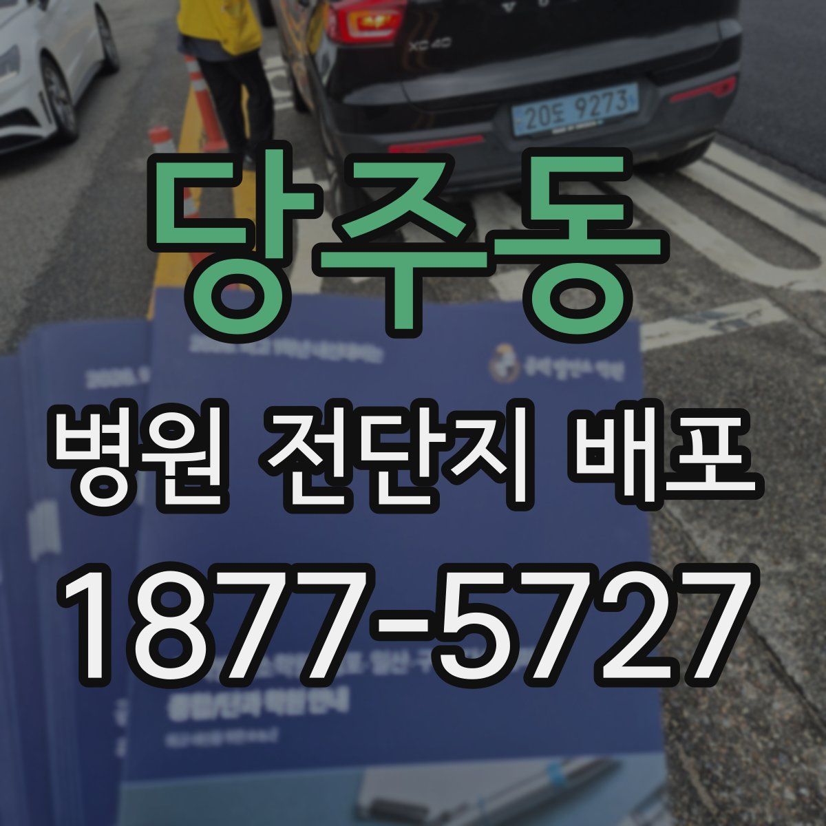 당주동 병원 전단지 배포