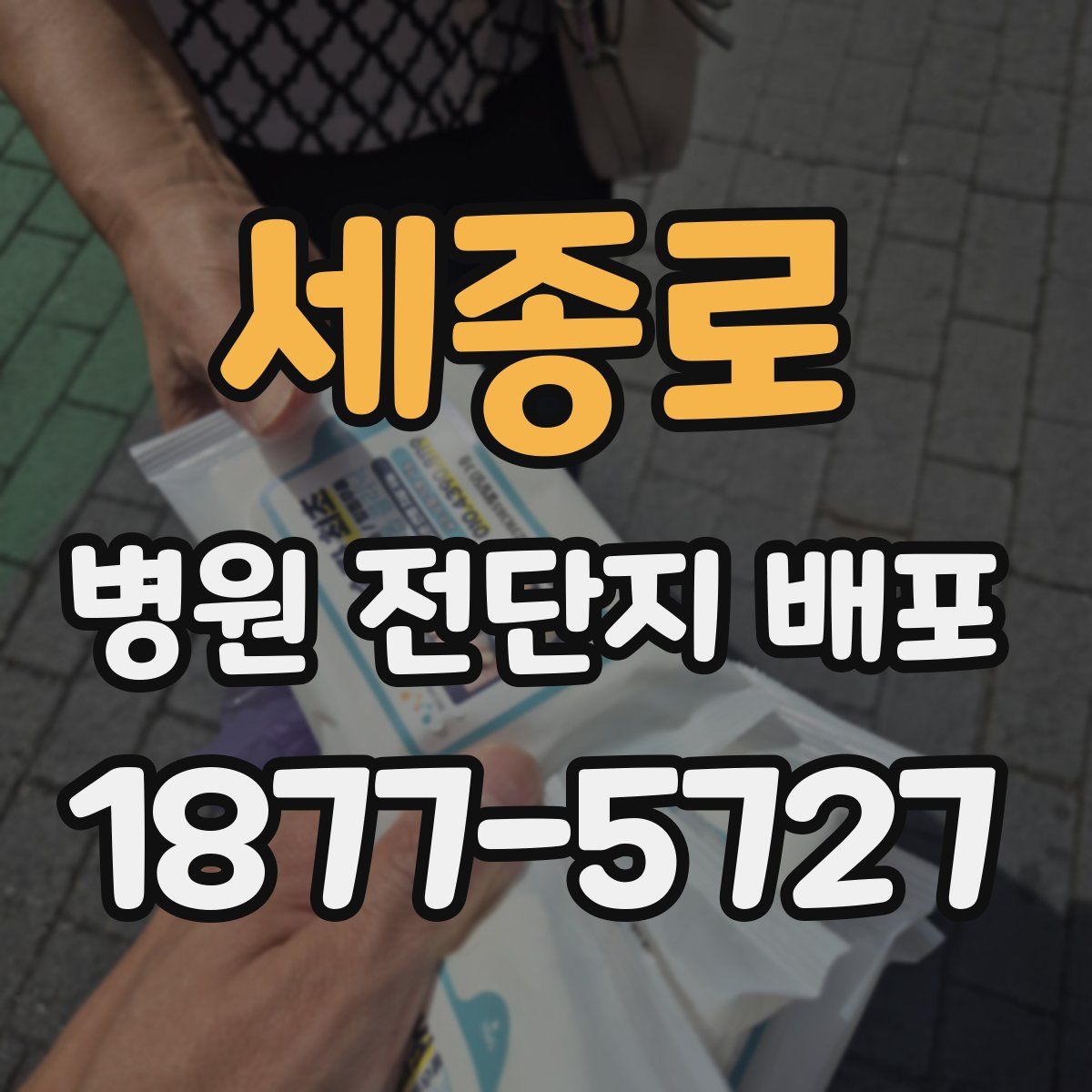 세종로 병원 전단지 배포