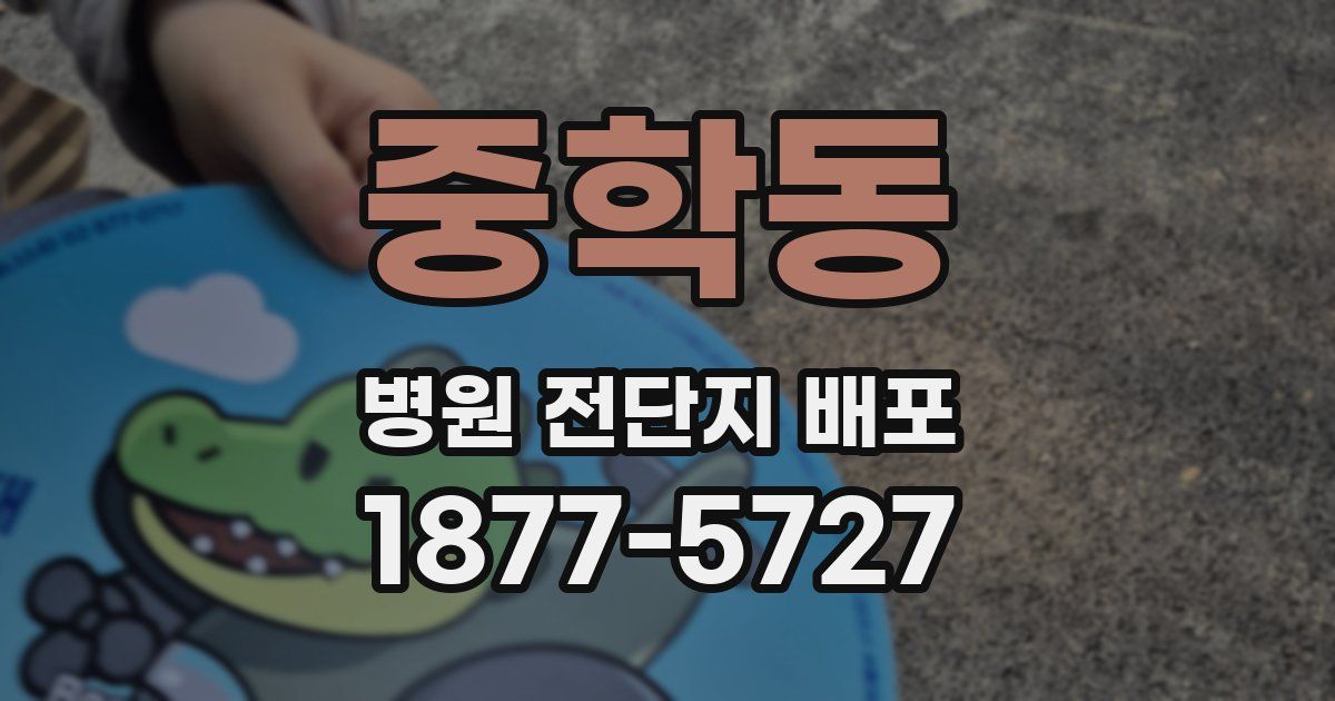중학동 병원 전단지 배포