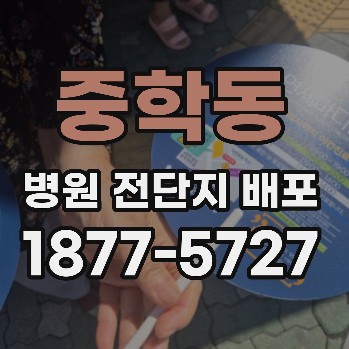 중학동 병원 전단지 배포