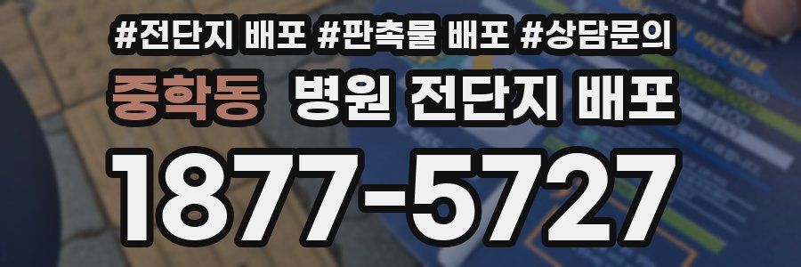 중학동 병원 전단지 배포