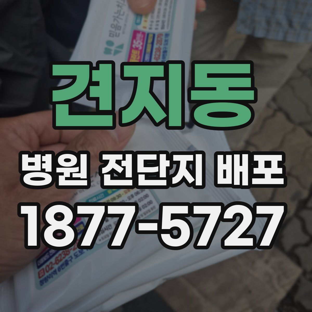 견지동 병원 전단지 배포