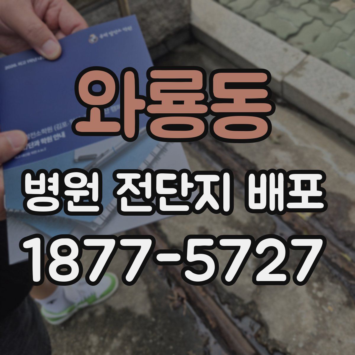 와룡동 병원 전단지 배포