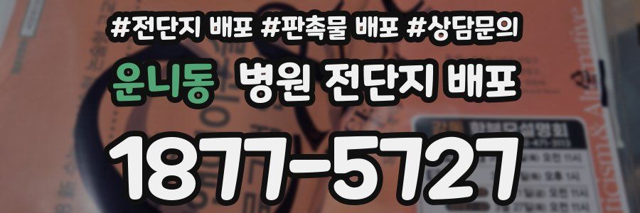 운니동 병원 전단지 배포