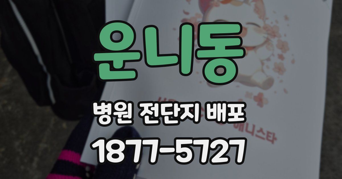 운니동 병원 전단지 배포
