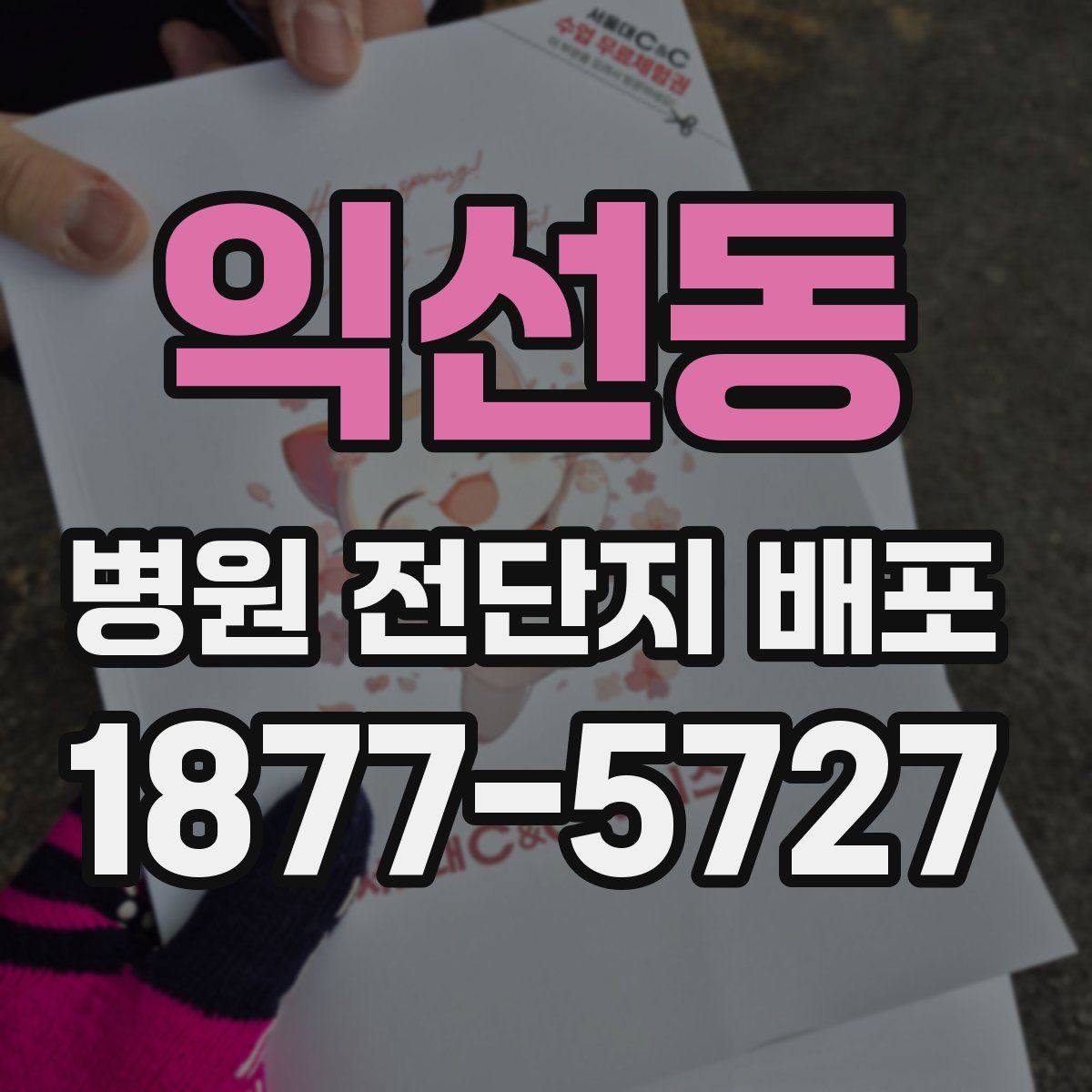 익선동 병원 전단지 배포