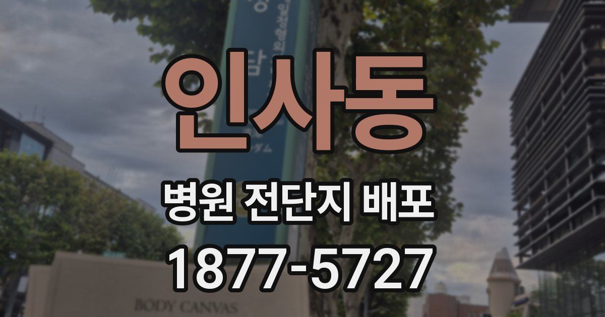 인사동 병원 전단지 배포