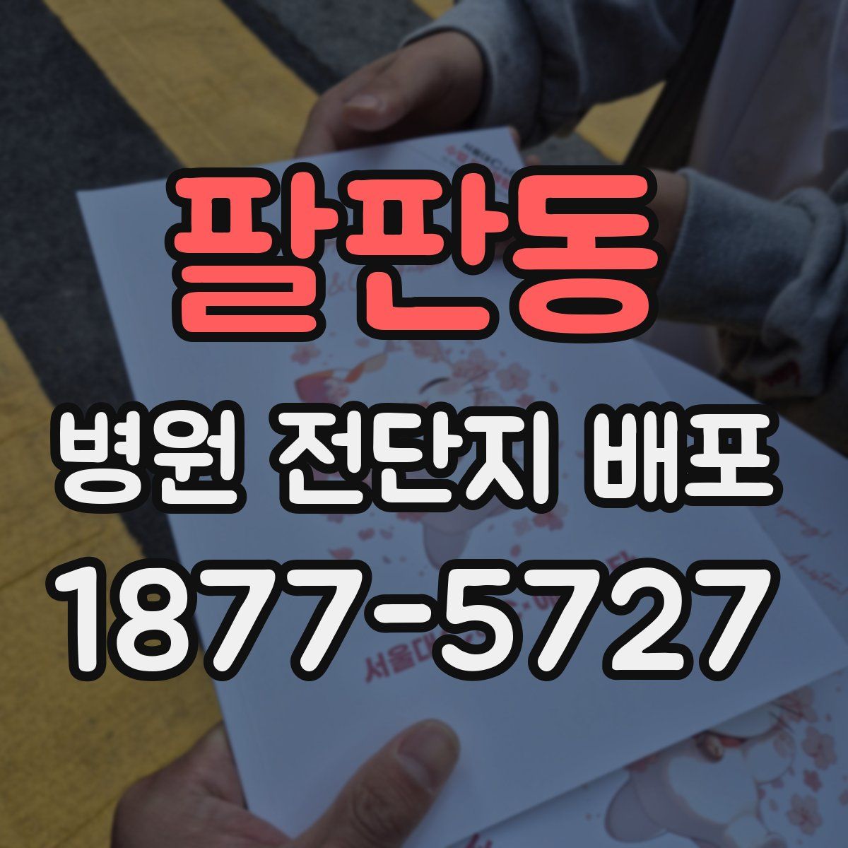 팔판동 병원 전단지 배포