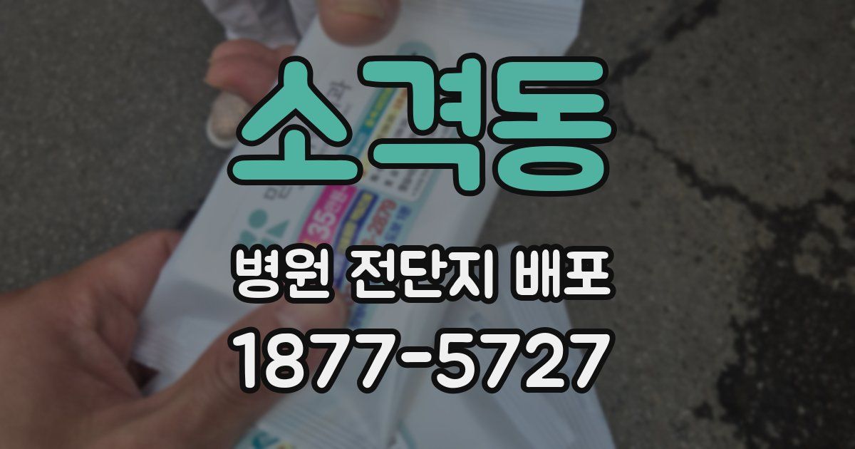 소격동 병원 전단지 배포