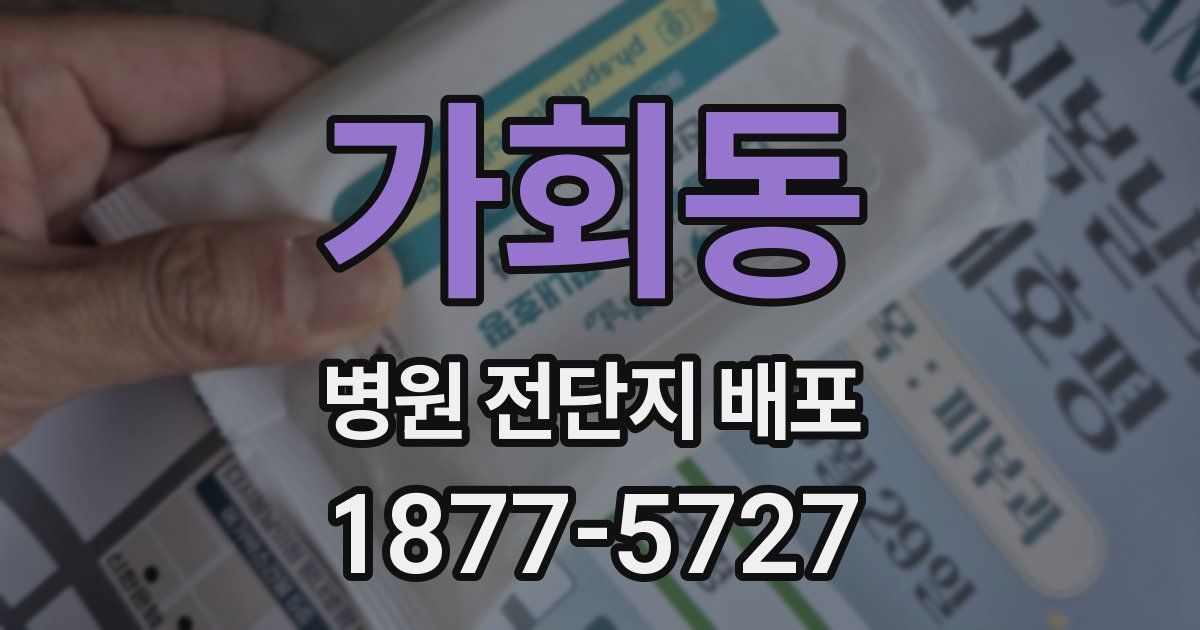가회동 병원 전단지 배포