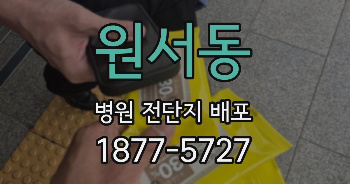 원서동 병원 전단지 배포