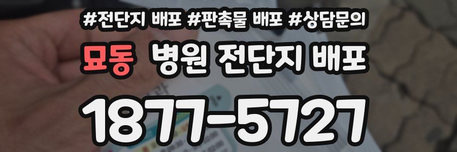 묘동 병원 전단지 배포