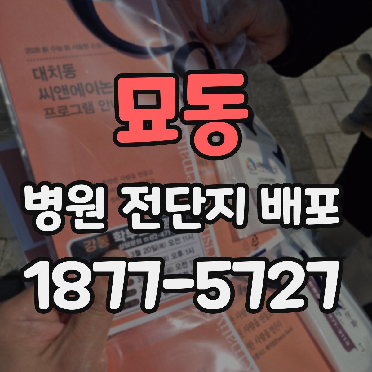 묘동 병원 전단지 배포