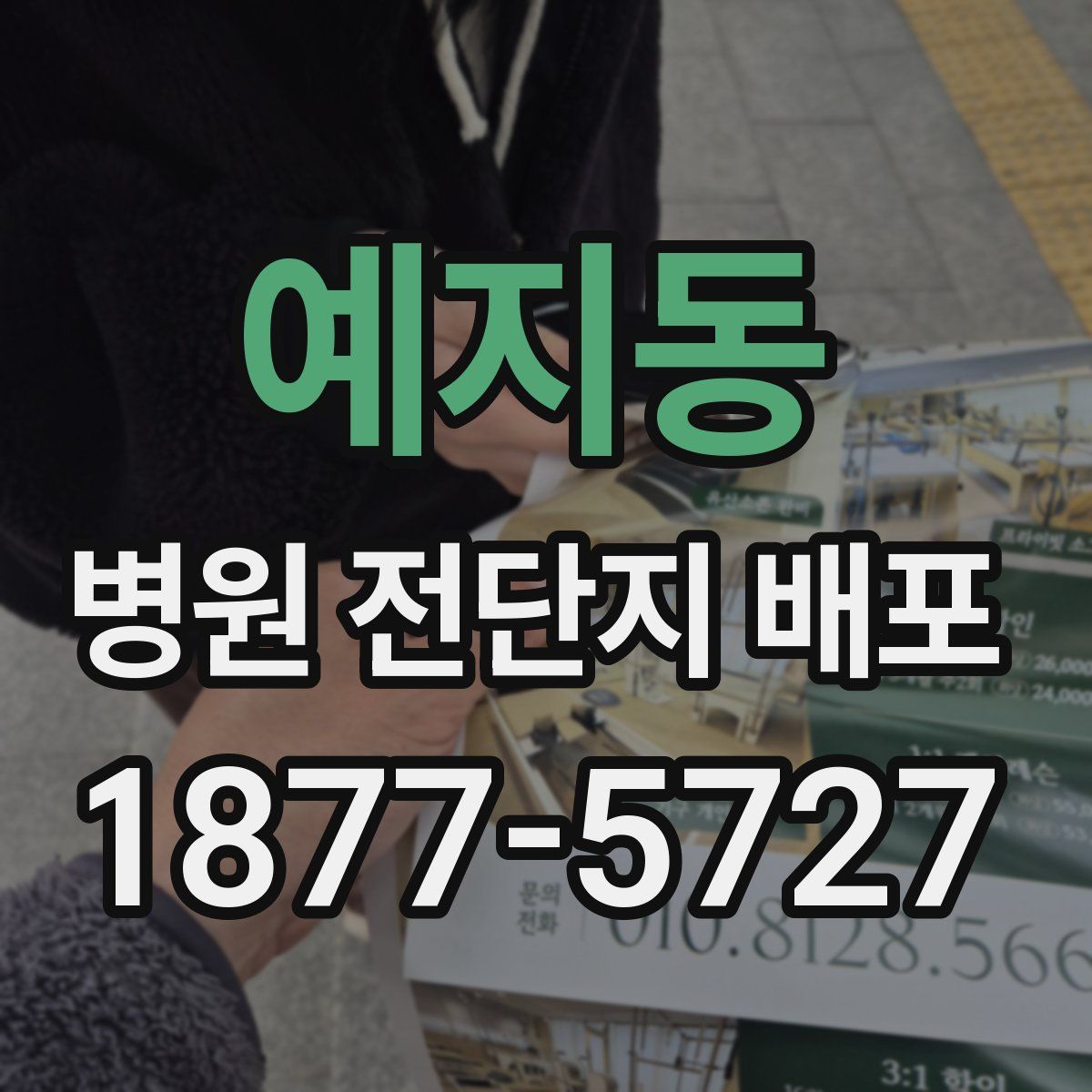 예지동 병원 전단지 배포