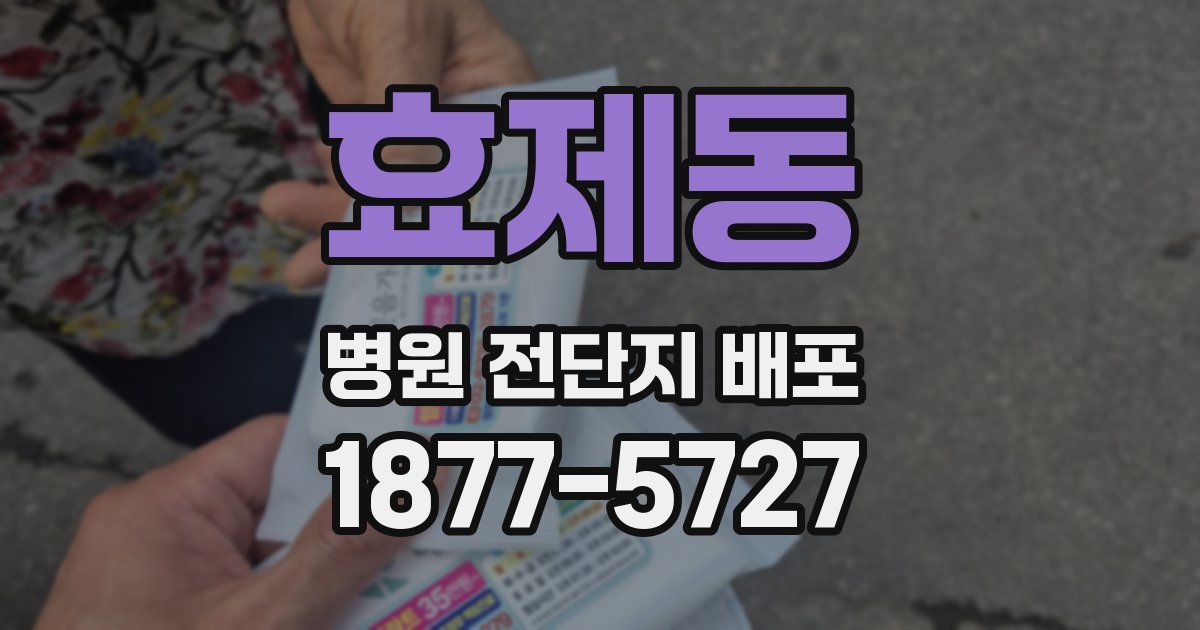 효제동 병원 전단지 배포