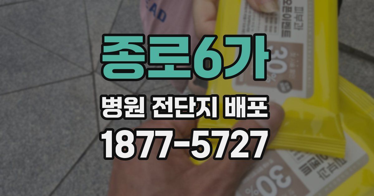 종로6가 병원 전단지 배포