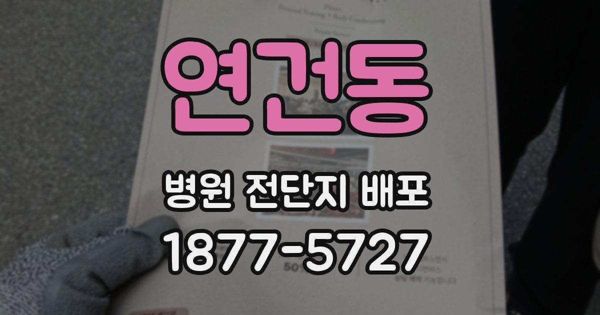 연건동 병원 전단지 배포
