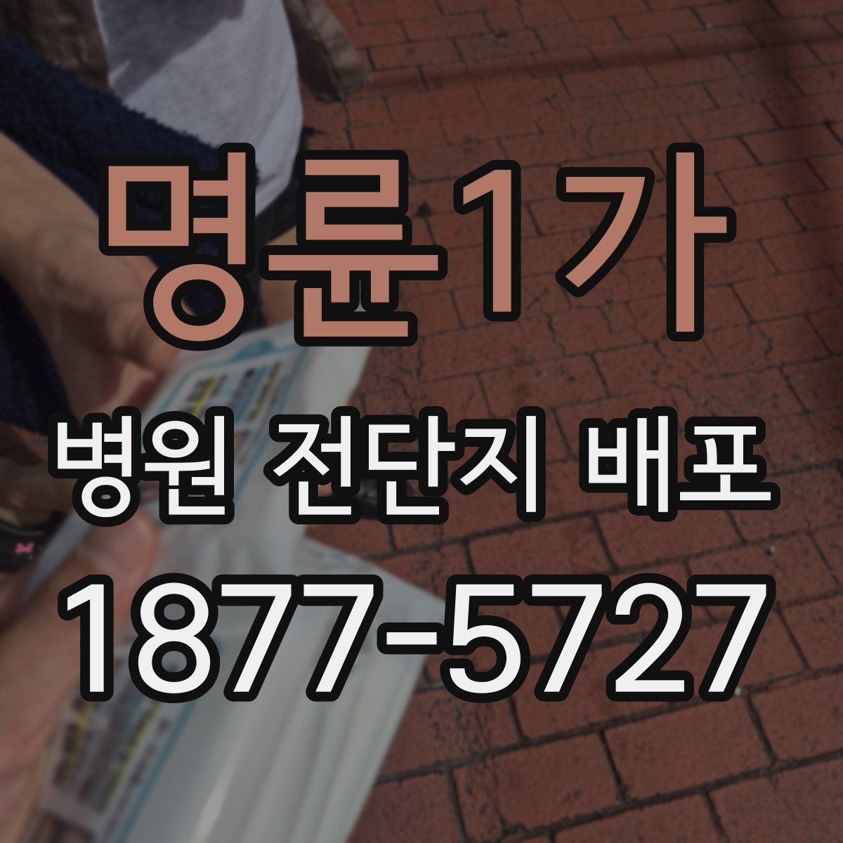 명륜1가 병원 전단지 배포
