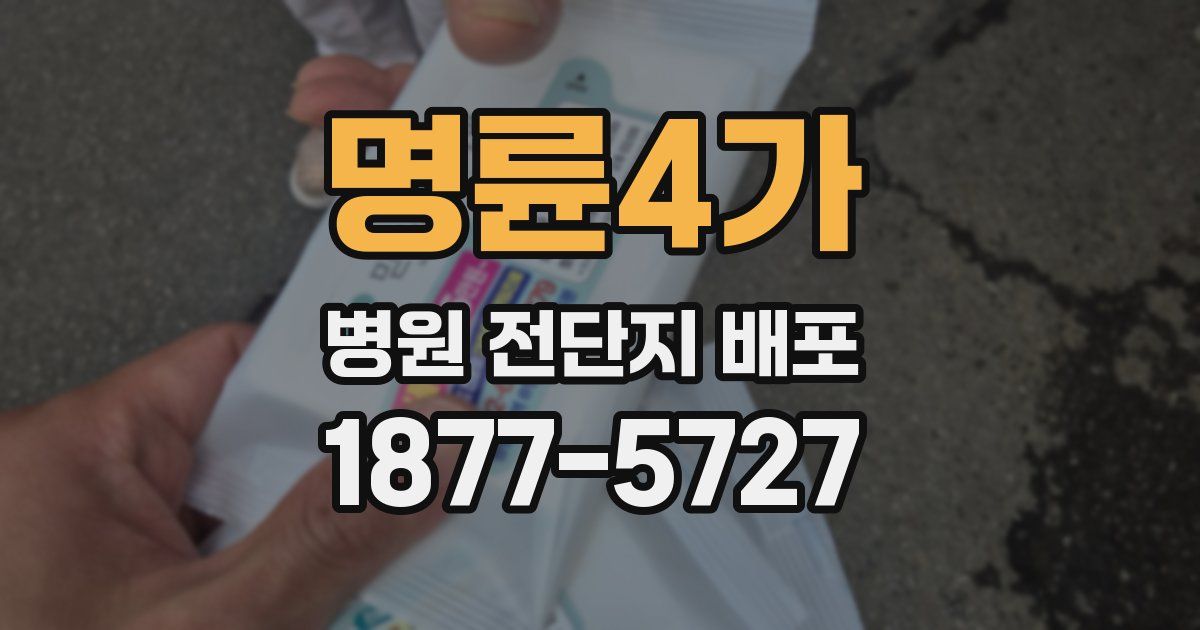 명륜4가 병원 전단지 배포