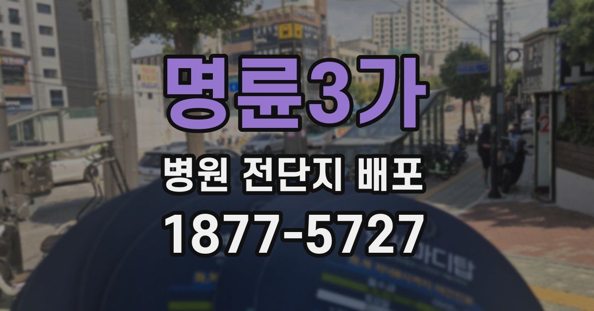 명륜3가 병원 전단지 배포