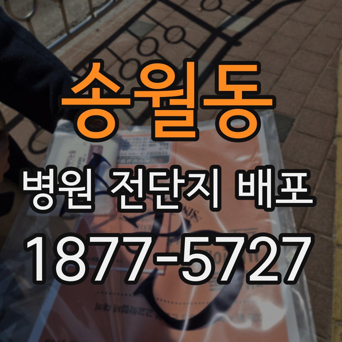 송월동 병원 전단지 배포