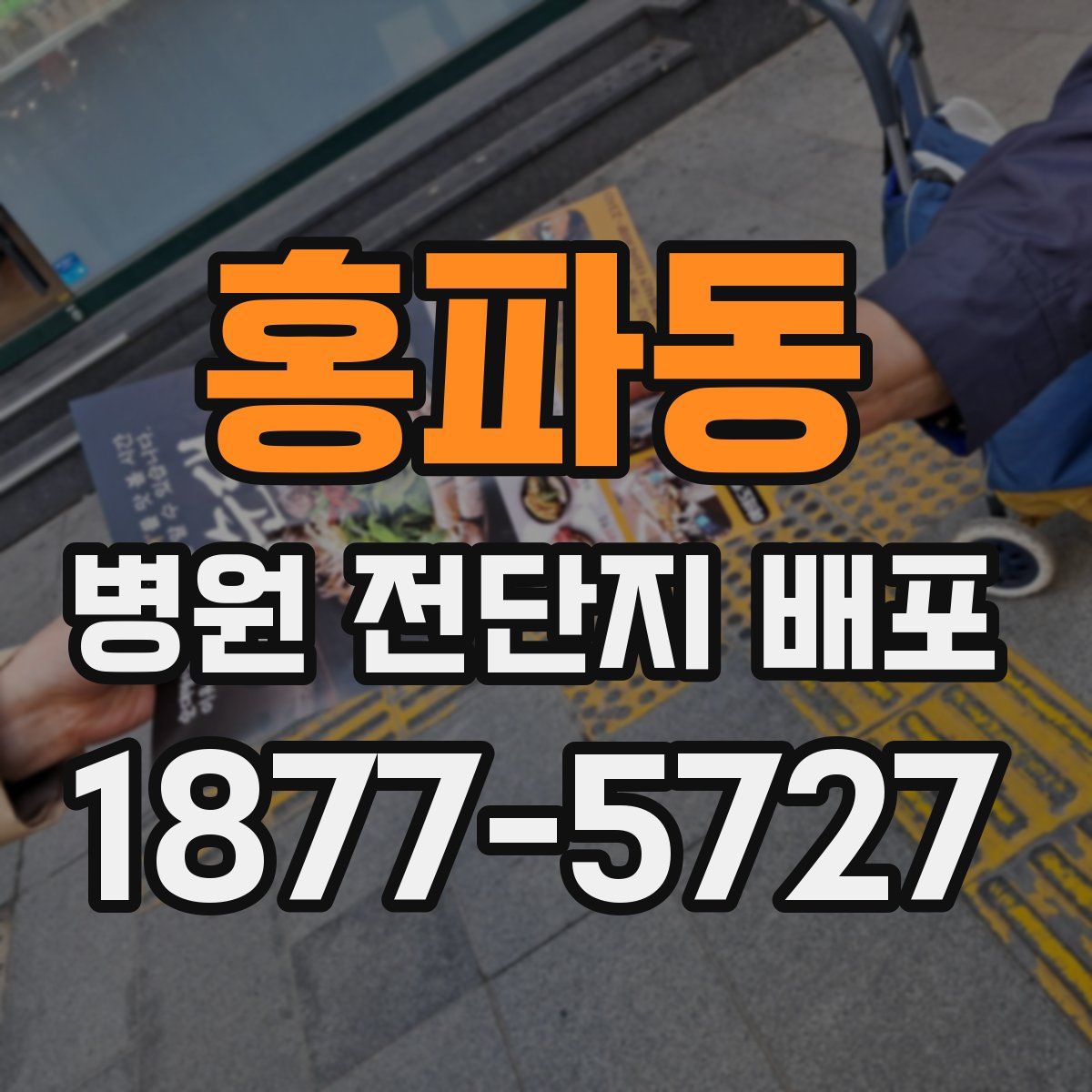 홍파동 병원 전단지 배포
