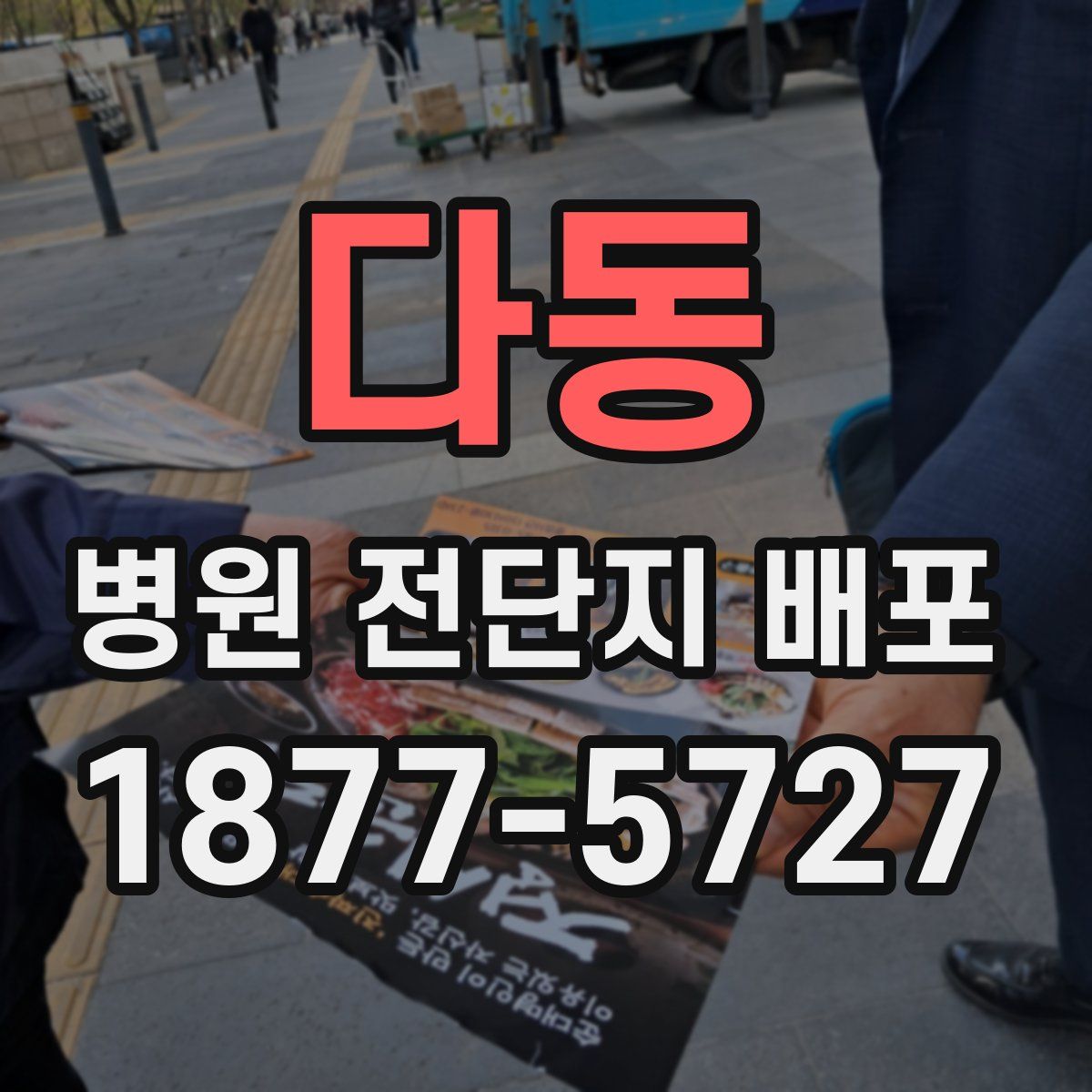 다동 병원 전단지 배포
