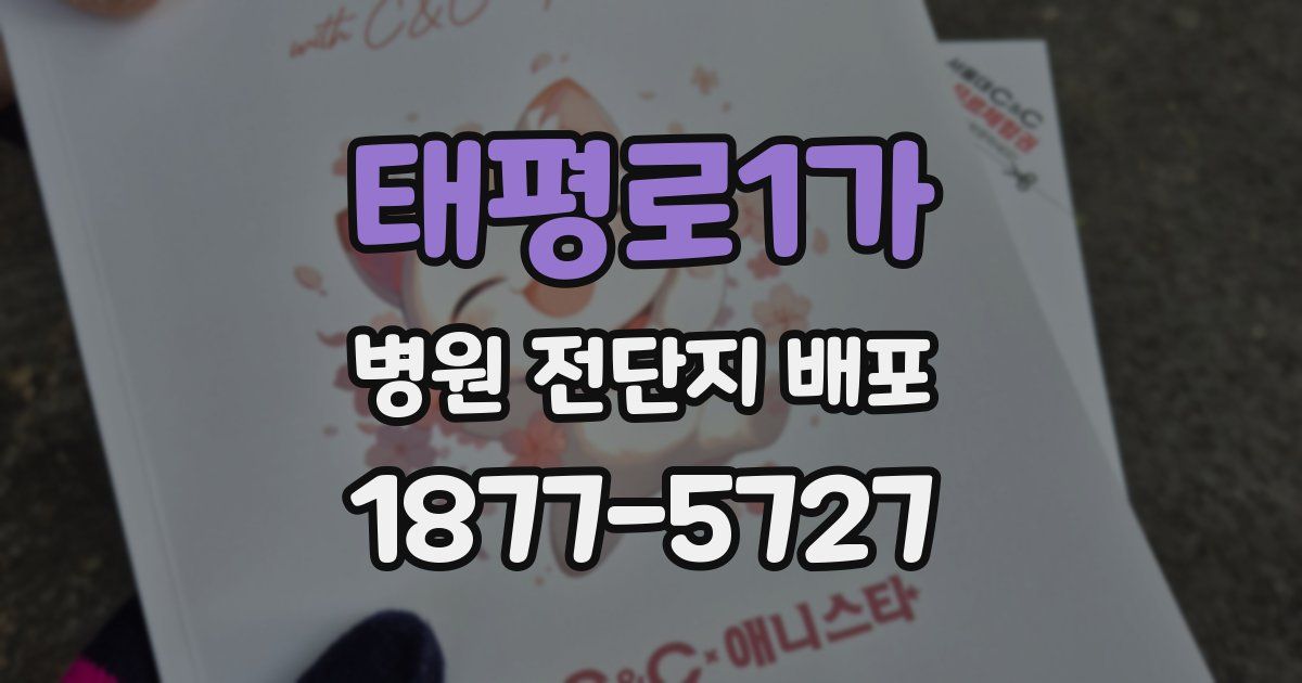 태평로1가 병원 전단지 배포