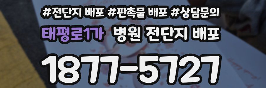 태평로1가 병원 전단지 배포