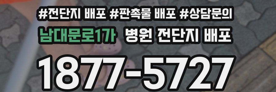 남대문로1가 병원 전단지 배포