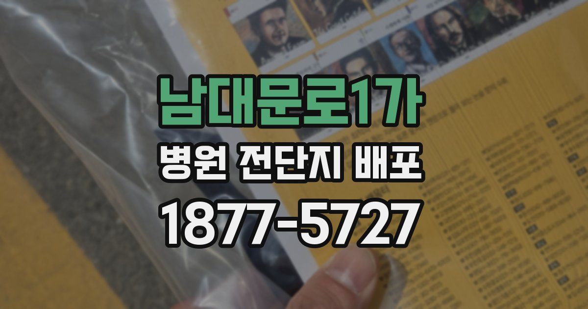 남대문로1가 병원 전단지 배포