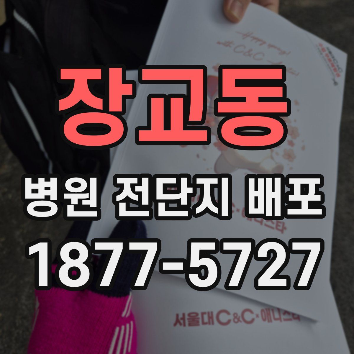 장교동 병원 전단지 배포