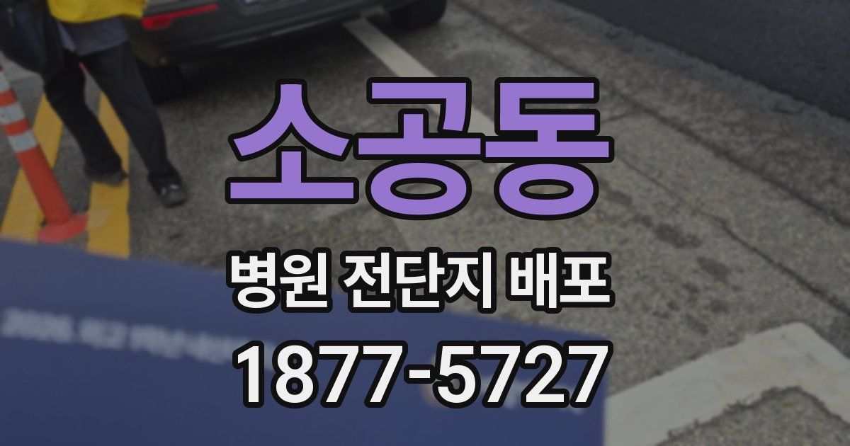 소공동 병원 전단지 배포