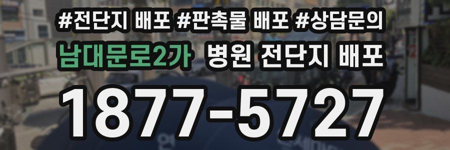 남대문로2가 병원 전단지 배포