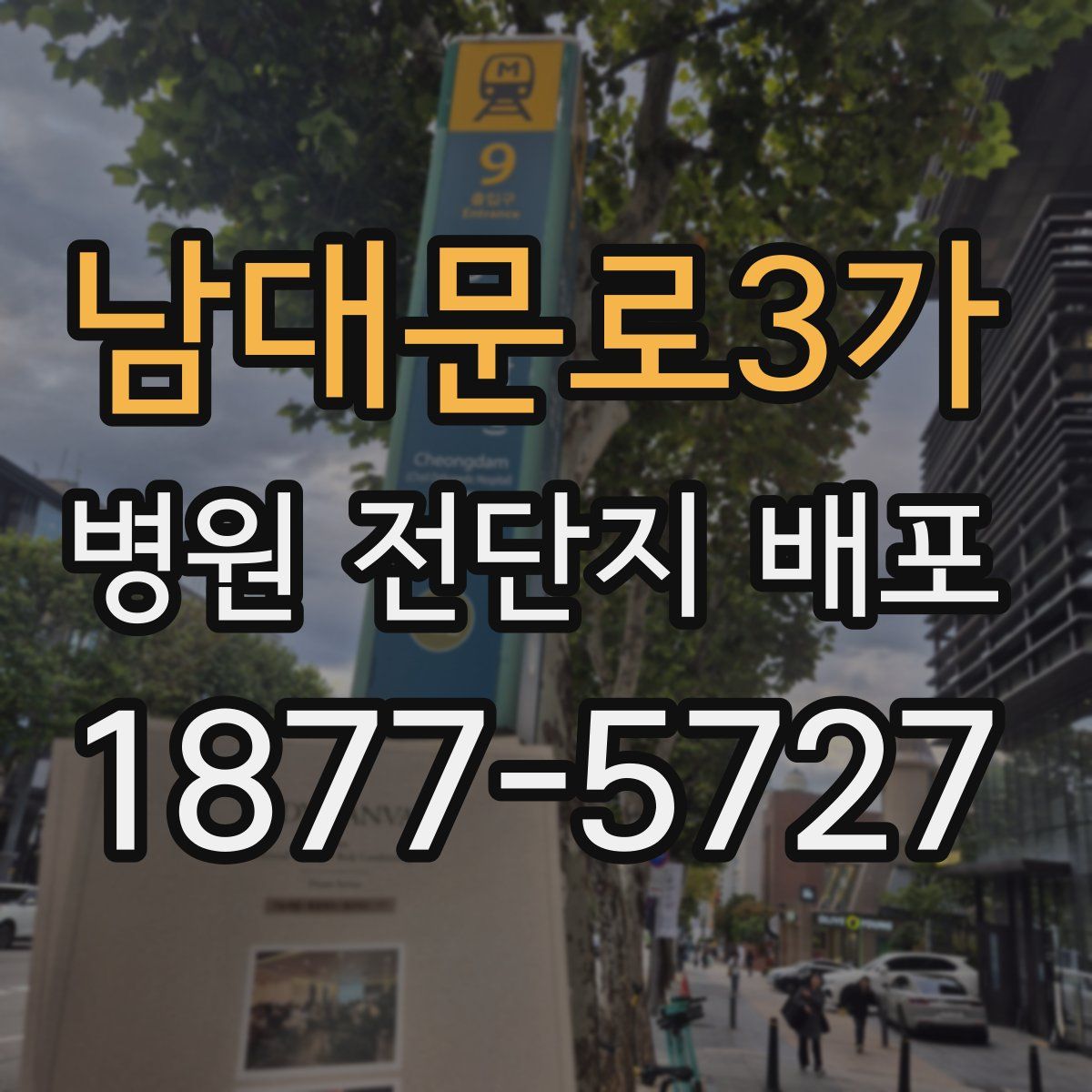 남대문로3가 병원 전단지 배포