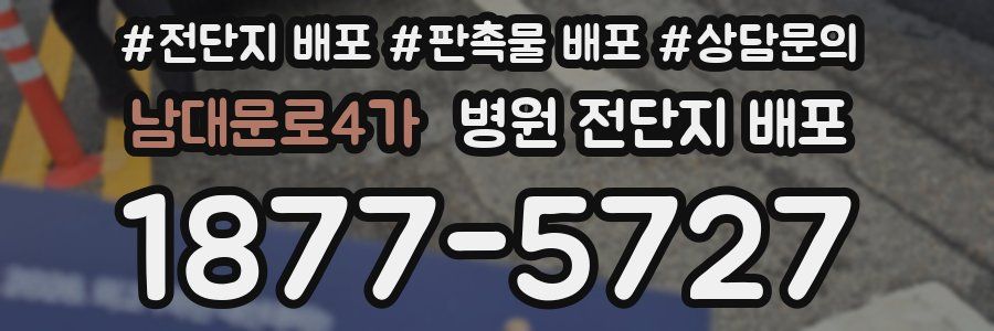 남대문로4가 병원 전단지 배포