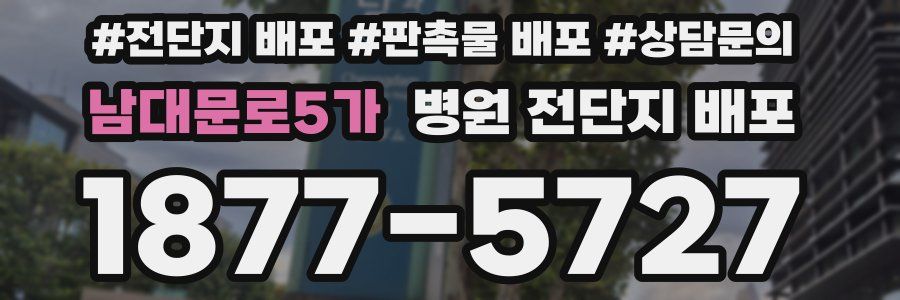남대문로5가 병원 전단지 배포