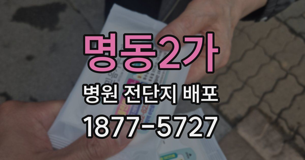 명동2가 병원 전단지 배포