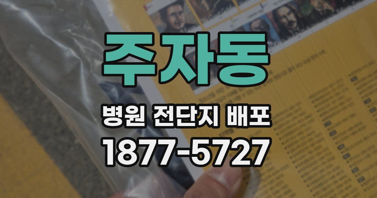 주자동 병원 전단지 배포