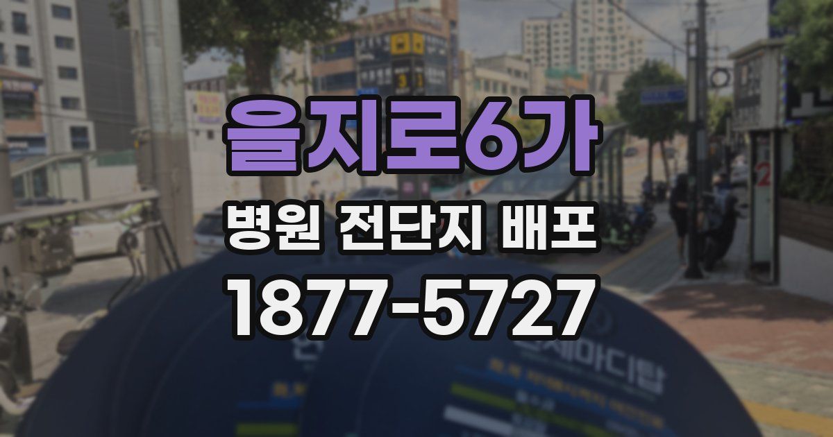 을지로6가 병원 전단지 배포