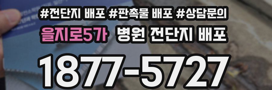 을지로5가 병원 전단지 배포