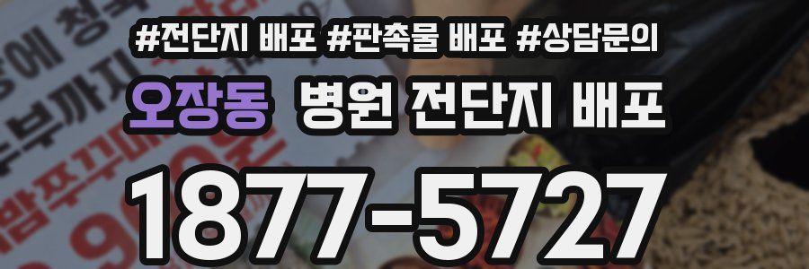 오장동 병원 전단지 배포