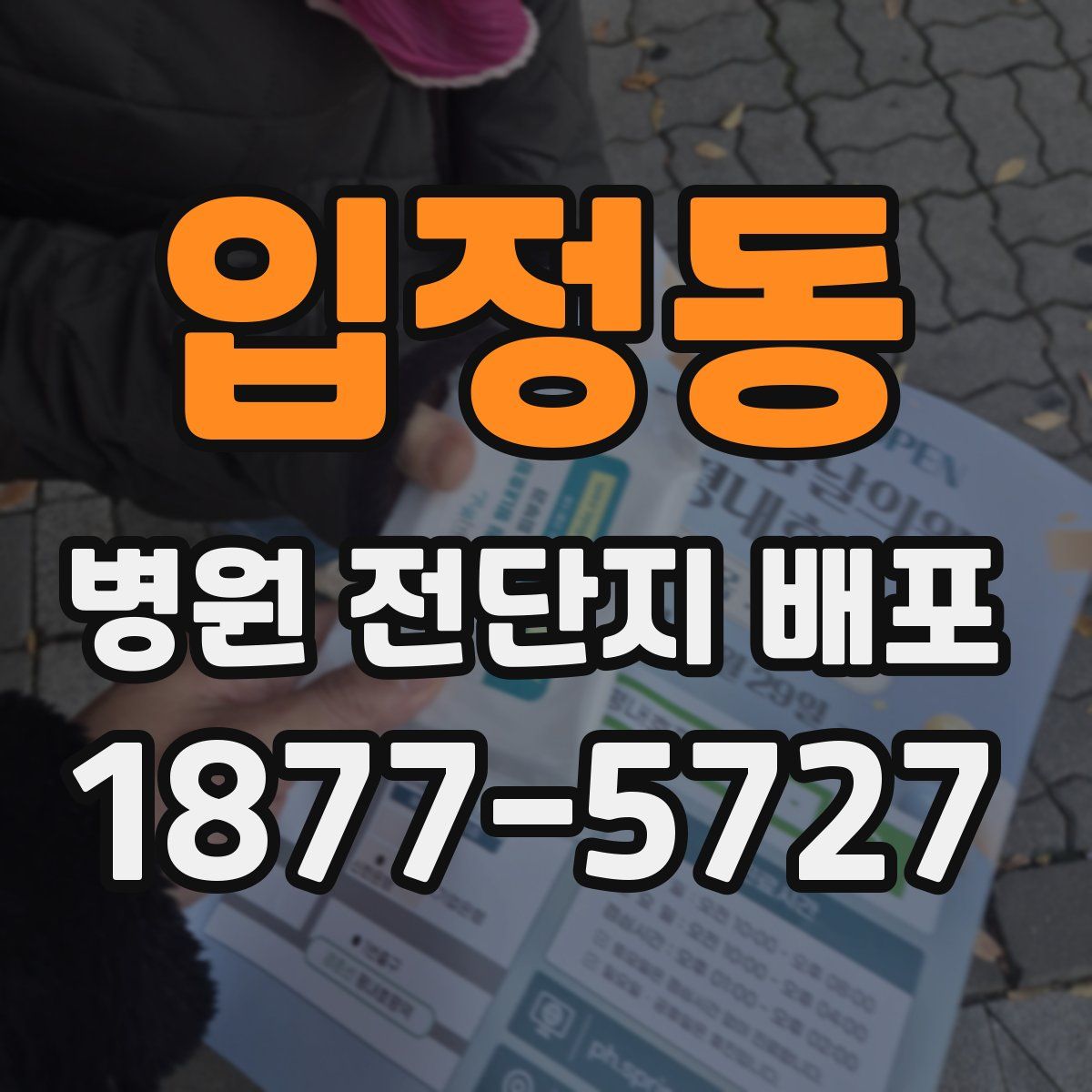 입정동 병원 전단지 배포