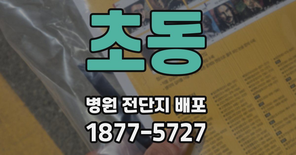 초동 병원 전단지 배포